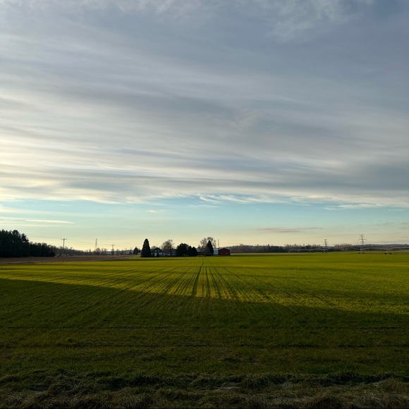 Meet your Posher - Picture 1 of 1